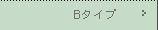 2����-B�^�C�v